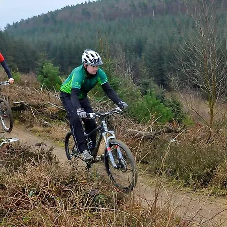 Luxury tent High Oaks Grange - Glamping