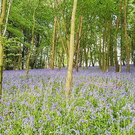 High Oaks Grange - Glamping Pickering