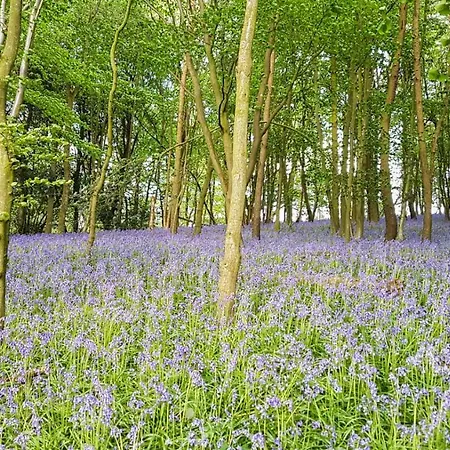 High Oaks Grange - Glamping Pickering