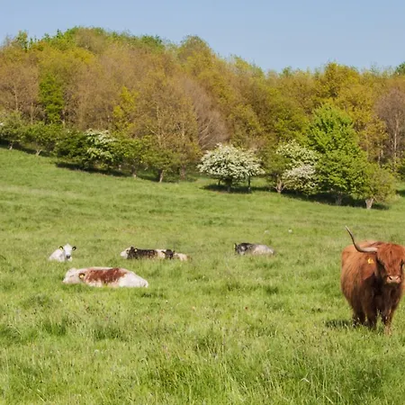 High Oaks Grange - Glamping